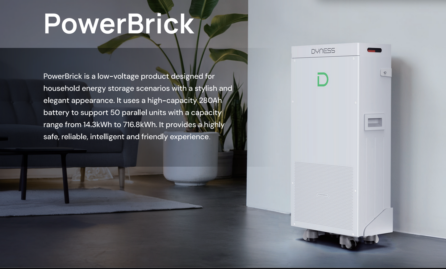 14.3kWh Dyness Power Brick Lithium Battery
