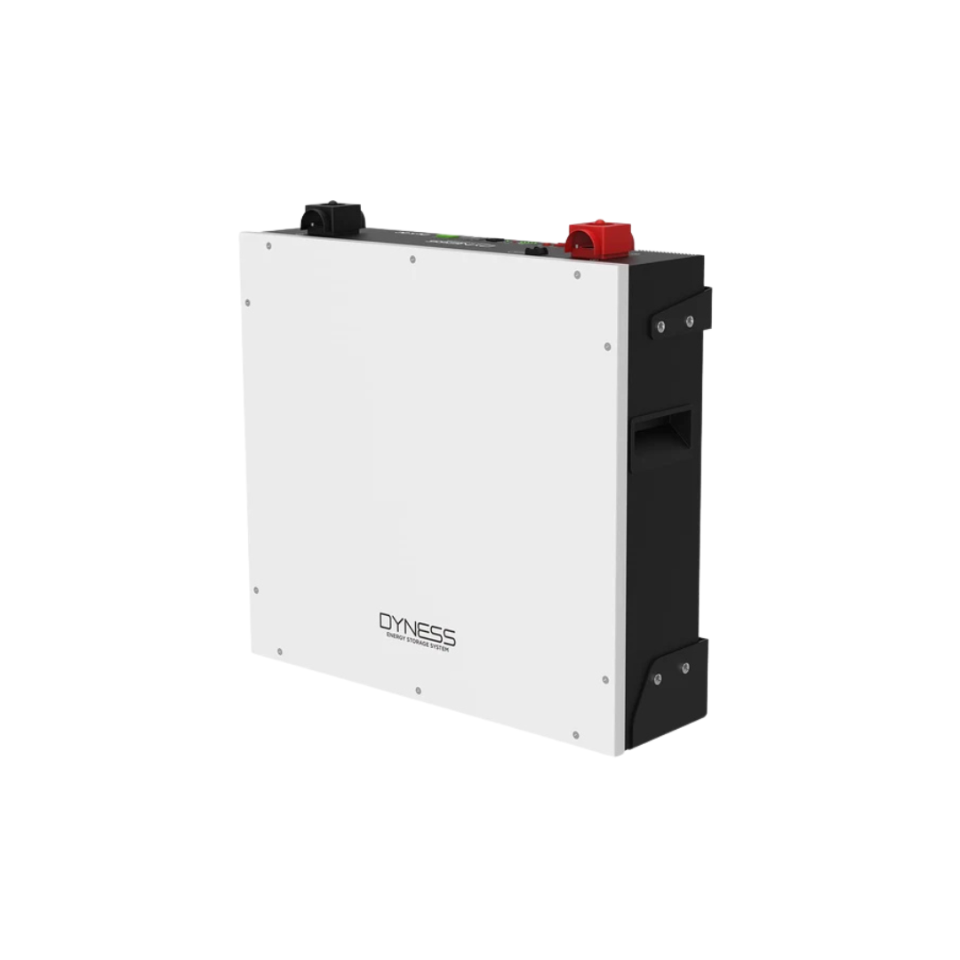 5.12kWh Dyness 51.2V Lithium Battery (DL5.0C)
