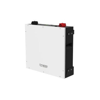 5.12kWh Dyness 51.2V Lithium Battery (DL5.0C)