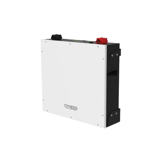 5.12kWh Dyness 51.2V Lithium Battery (DL5.0C)