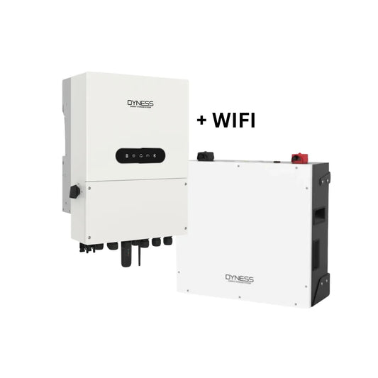 8KVA Dyness Hybrid Inverter (Single Phase) + 5.12kWh Dyness Lithium Ion Battery BX51100