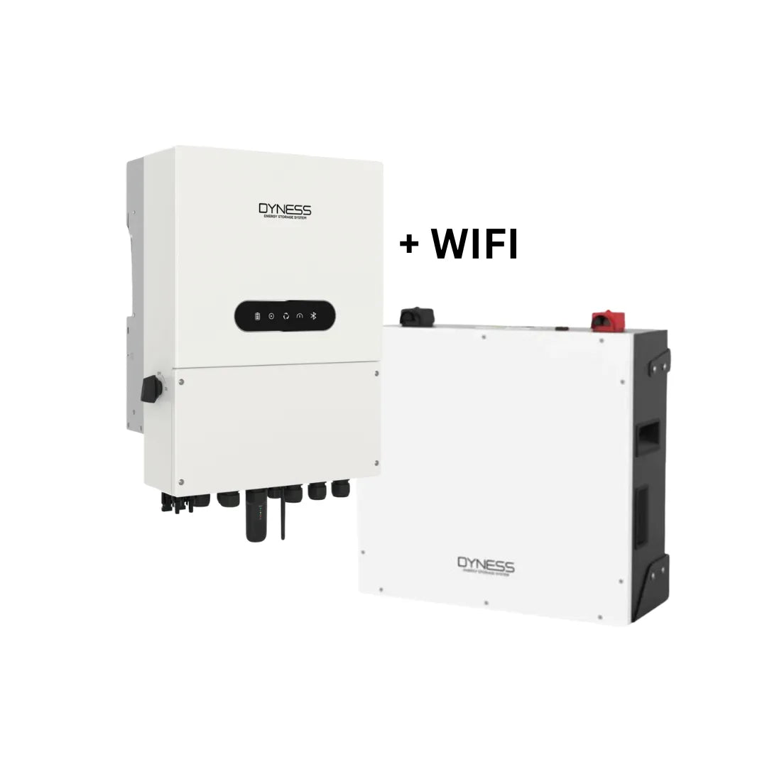 5KVA Dyness Hybrid Inverter (Single Phase) + 5.12kWh Dyness Lithium Ion Battery BX51100