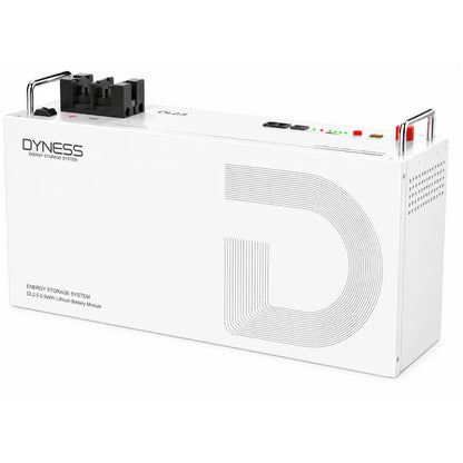 24V Dyness DL2.5 100Ah 2.56kWh Lithium Battery